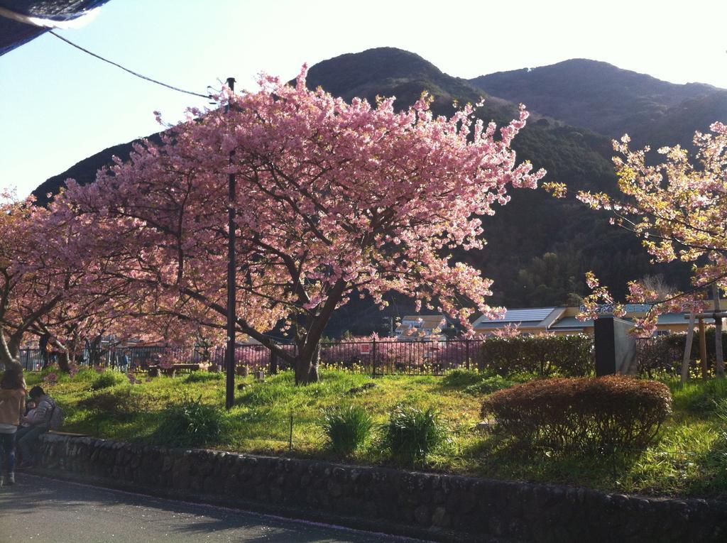 Hareya Hotel Shimoda  Eksteriør billede