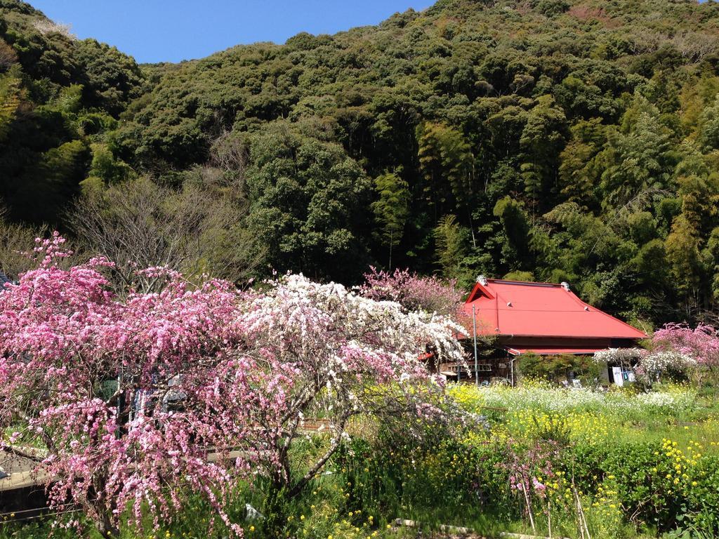 Hareya Hotel Shimoda  Eksteriør billede